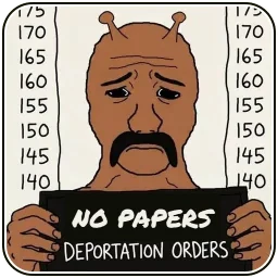 No papers