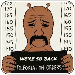 We're so back